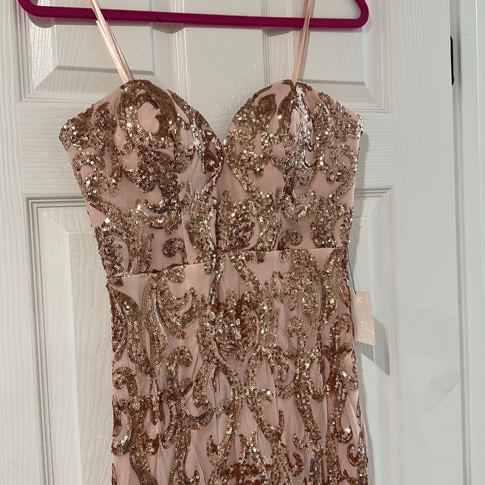 Rose hose sequin maxi gown